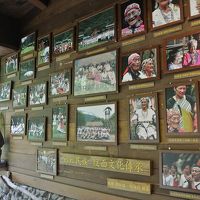 展示物も色々と有ります