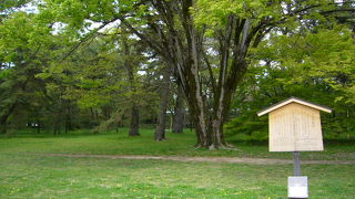 ここにも邸宅跡があります