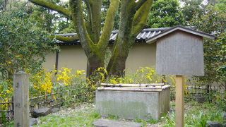 京都御苑三名水のひとつです