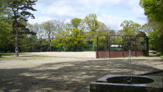 運動しましょう