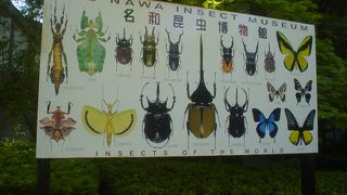 輝く昆虫の館