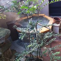 露天風呂付客室