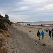 確かに不思議な形の石だったけれど・・・