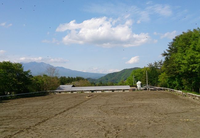 乗馬クラブ「ホワイトサドル」