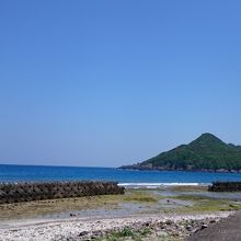 ガジュマル園の目の前は海です