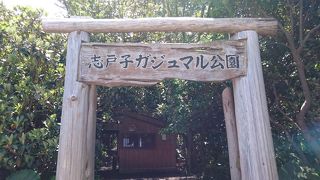 独特な雰囲気です