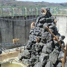 近くを通ったら寄ってみてください。