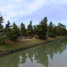 日光街道の松並木が綾瀬川の水面に映る。