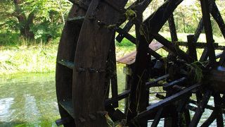 水車と湧水が見事な風景