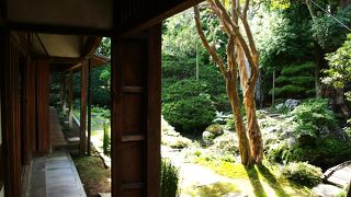 桃山中期の流れをくむ立派な庭園