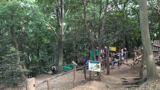 BBQも出来るフィールドアスレチック　【フィールドアスレチック　横浜つくし野コース】