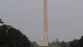 ワシントンの象徴