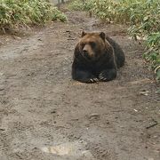 楽しめました！