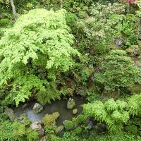 客室から見た「庭」。