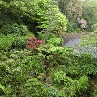 客室から見た「庭」。
