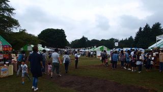 ハンドメイドを中心としたアクセサリーが売られているフェス