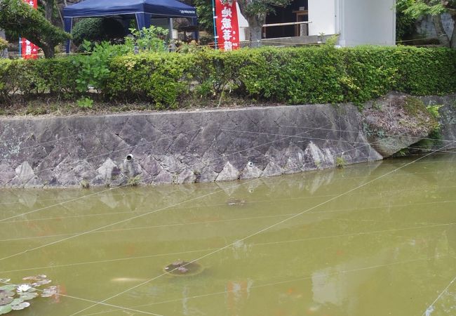 長楽寺