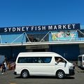 sydny fish market