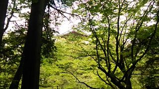 新緑がキレイで、建物内も見ごたえあり