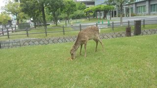 カメラ慣れしてる