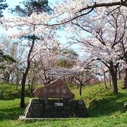 今が見頃！空知管内随一の桜の名所「東明公園」