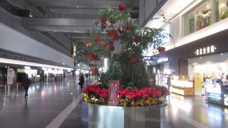 クリスマスシーズンの羽田空港ターミナル ビッグバード
