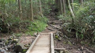 金時山へのメインルート