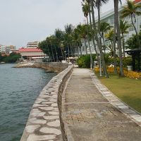 プールサイドからの景色