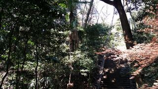 東京世田谷に非常に立派な里山と豊かな自然