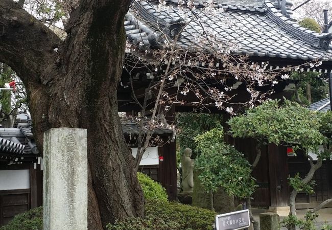 静かな環境にある天台宗のお寺