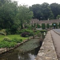 トラウトファームから見る