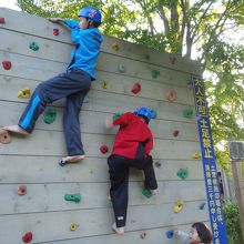 クライミングウォール