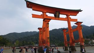 間近で見ると、その大きさに感動