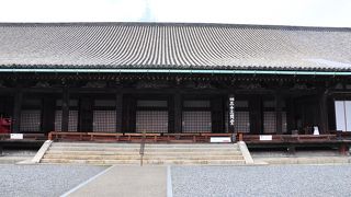 絶対に行った方がいいです。