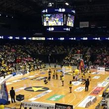 感染しやすいアリーナでした。