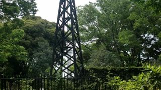 緑が深いエリアです