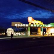 初めてのナイトサファリ