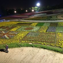 サミット仕様でした