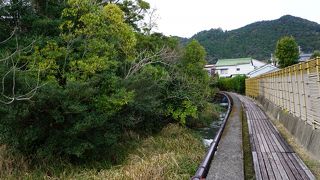 とにかくそんな風には見えません