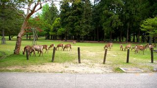 共生という言葉が浮かぶ