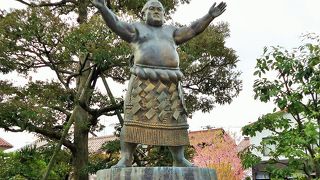 堂々とした土俵入り姿