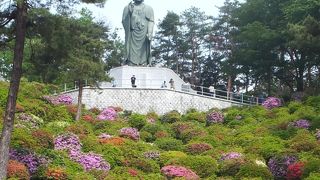 ツツジの名所ですが、見頃は過ぎていました。今年は一週間早いとか・・・。