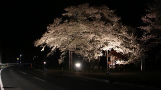 偶然通りかかったら、ライトアップしてました