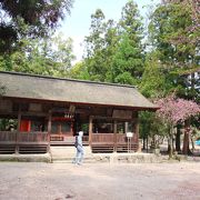 静かな公園の中に建つ神社