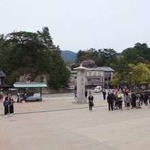 桟橋前の広場