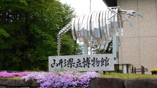 なかなか見応えがありました