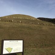 茶すり山古墳公園 クチコミ・アクセス・営業時間｜和田山