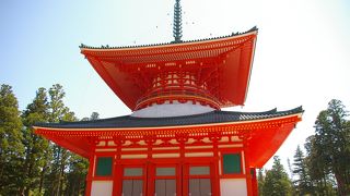 壇上伽藍だけでもみどころ多し