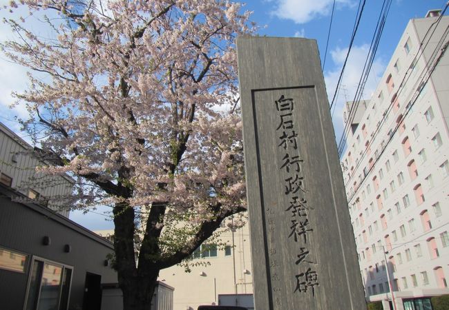 桜咲く木の下