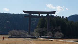 平坦な場所なので、楽に歩けます